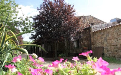 Agriturismo Aggius (17)