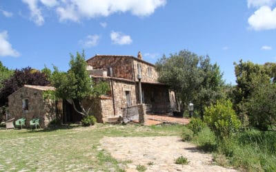 Agriturismo Aggius (24)