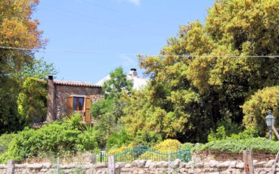 Agriturismo Aggius (3)