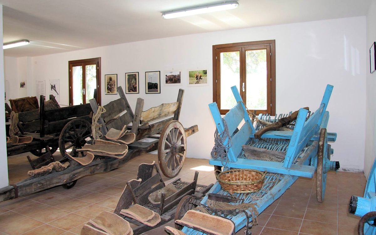 Agriturismo Aggius Museum Ochsenkarren (6) Agriturismo Aggius Museum Ochsenkarren (6)