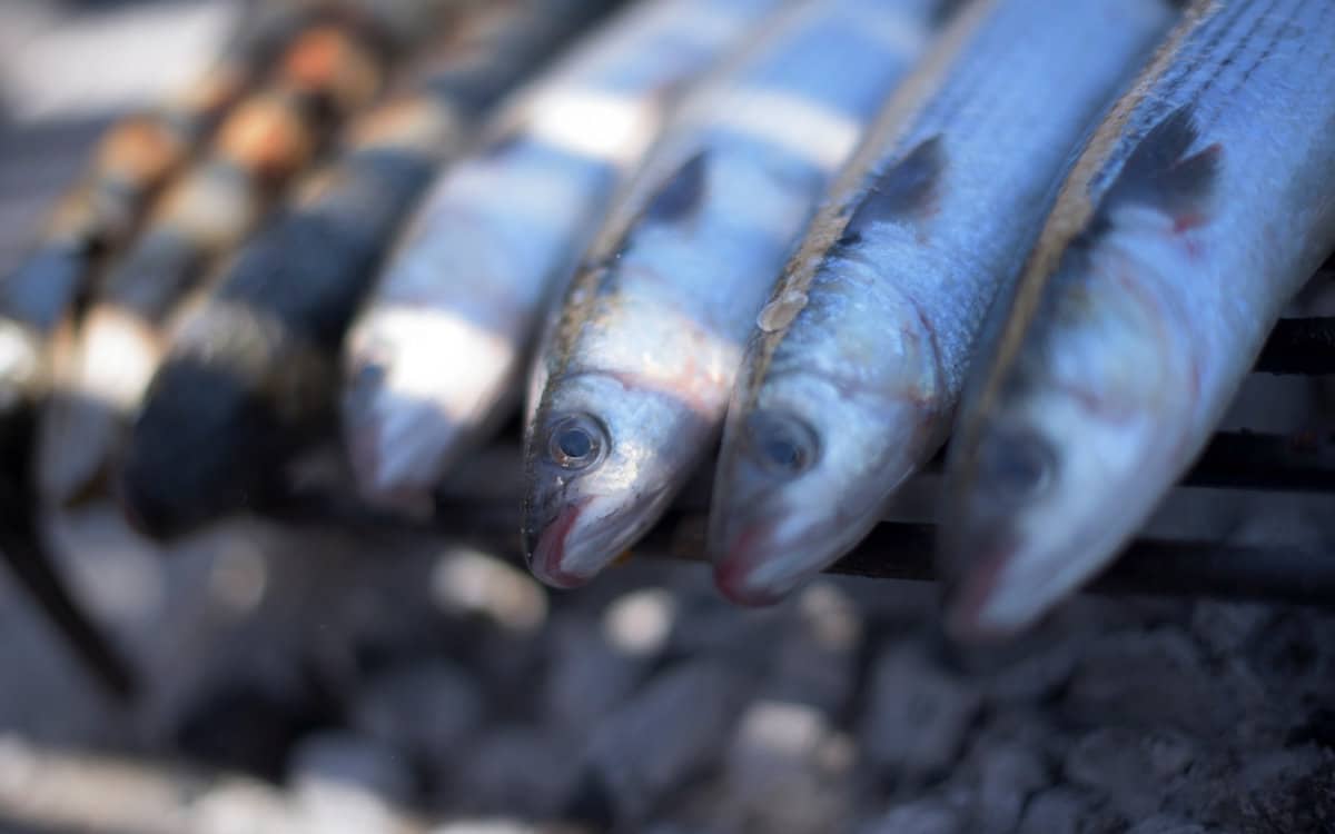 Fisch (2) Fisch (2)