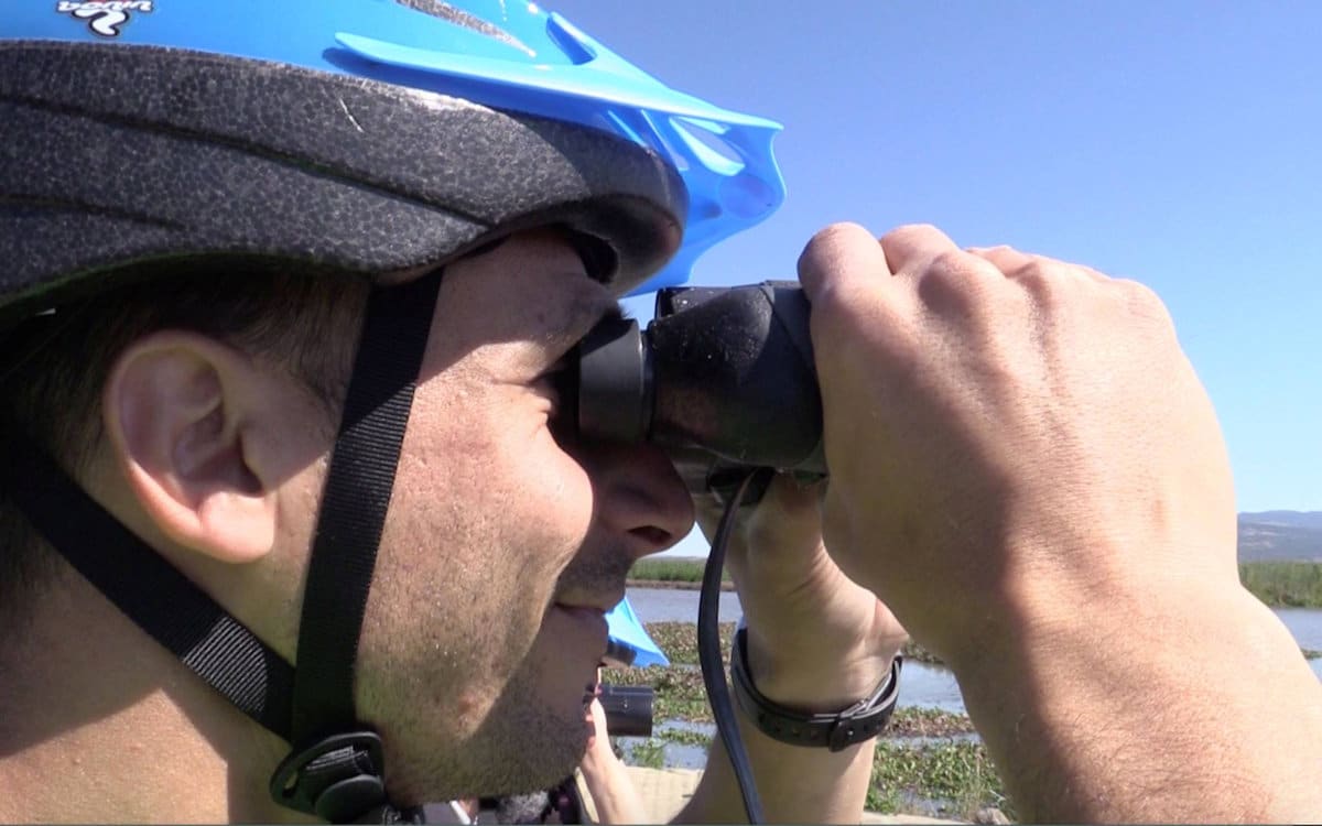 Lagune Cabras Bird Watching (2) Lagune Cabras Bird Watching (2)