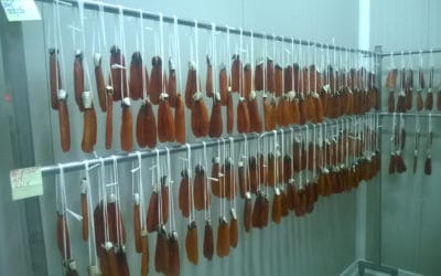 bottarga (3)