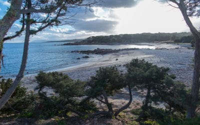 Sandstrand Cala Liberotto (Orosei)