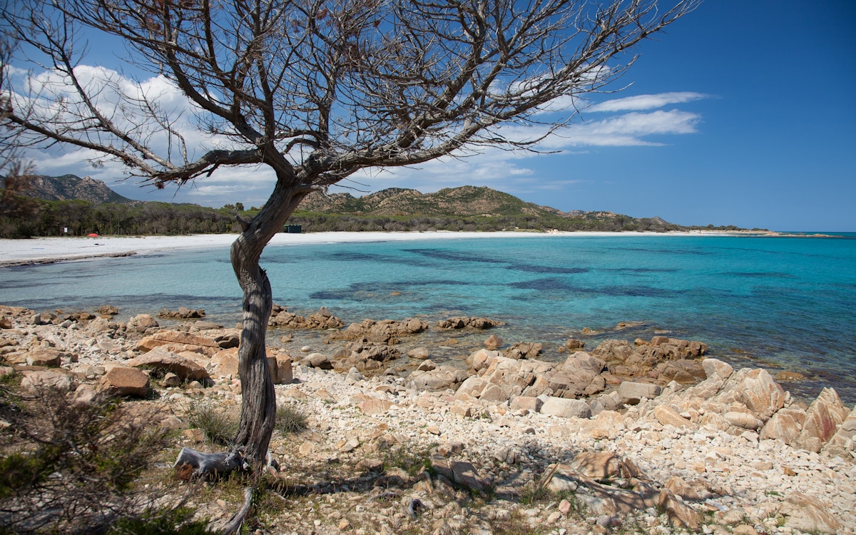 Strand Sa Curcurica (Orosei) Strand Sa Curcurica (Orosei)