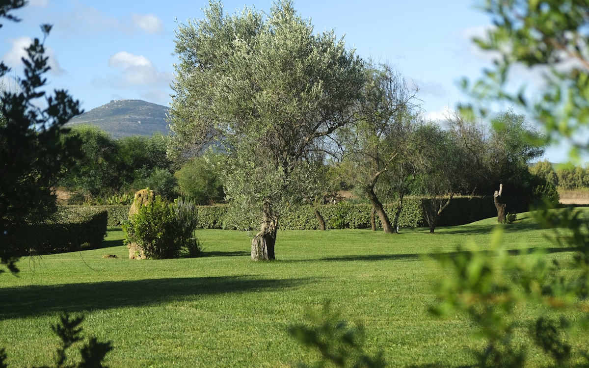 Landhaus Alghero 2 (10) Landhaus Alghero 2 (10)