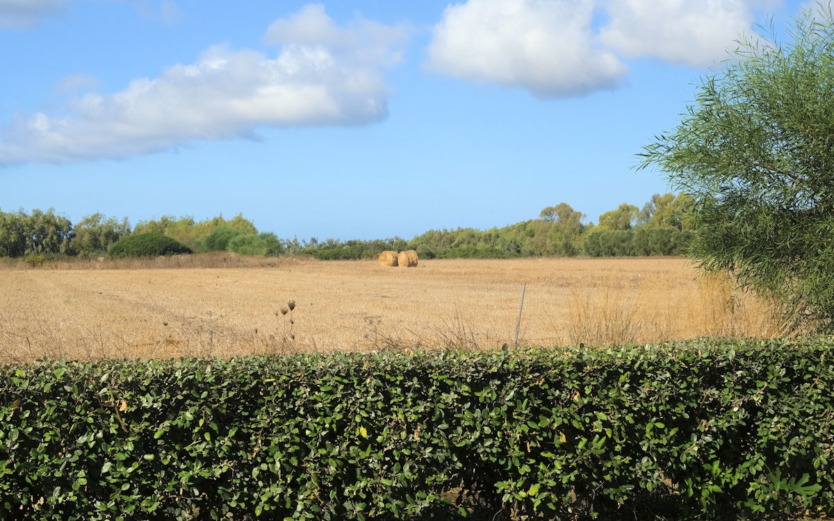 Landhaus Alghero 2 (7) Landhaus Alghero 2 (7)