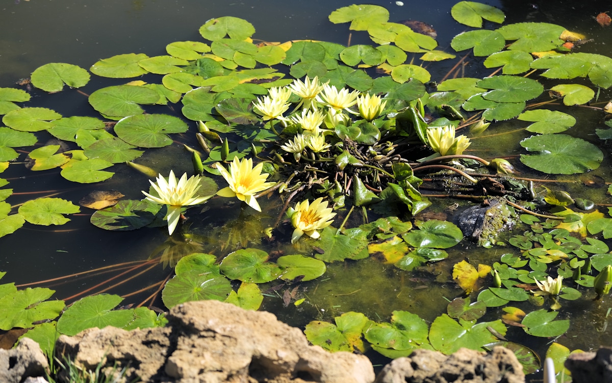 Landhaus Alghero 2 (8) Landhaus Alghero 2 (8)