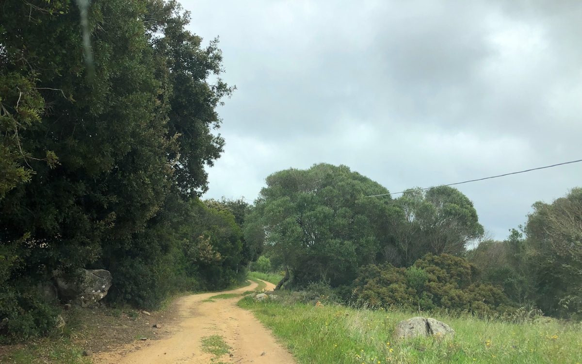 Ferienhaus Santa Teresa (12)