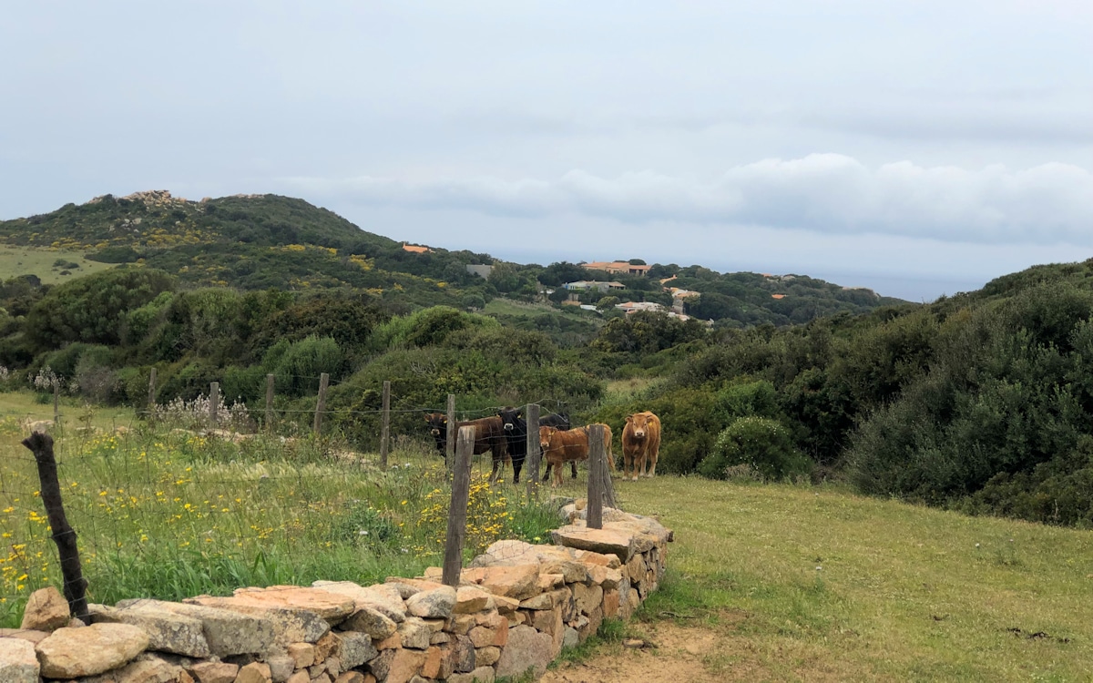 Ferienhaus Santa Teresa (19)