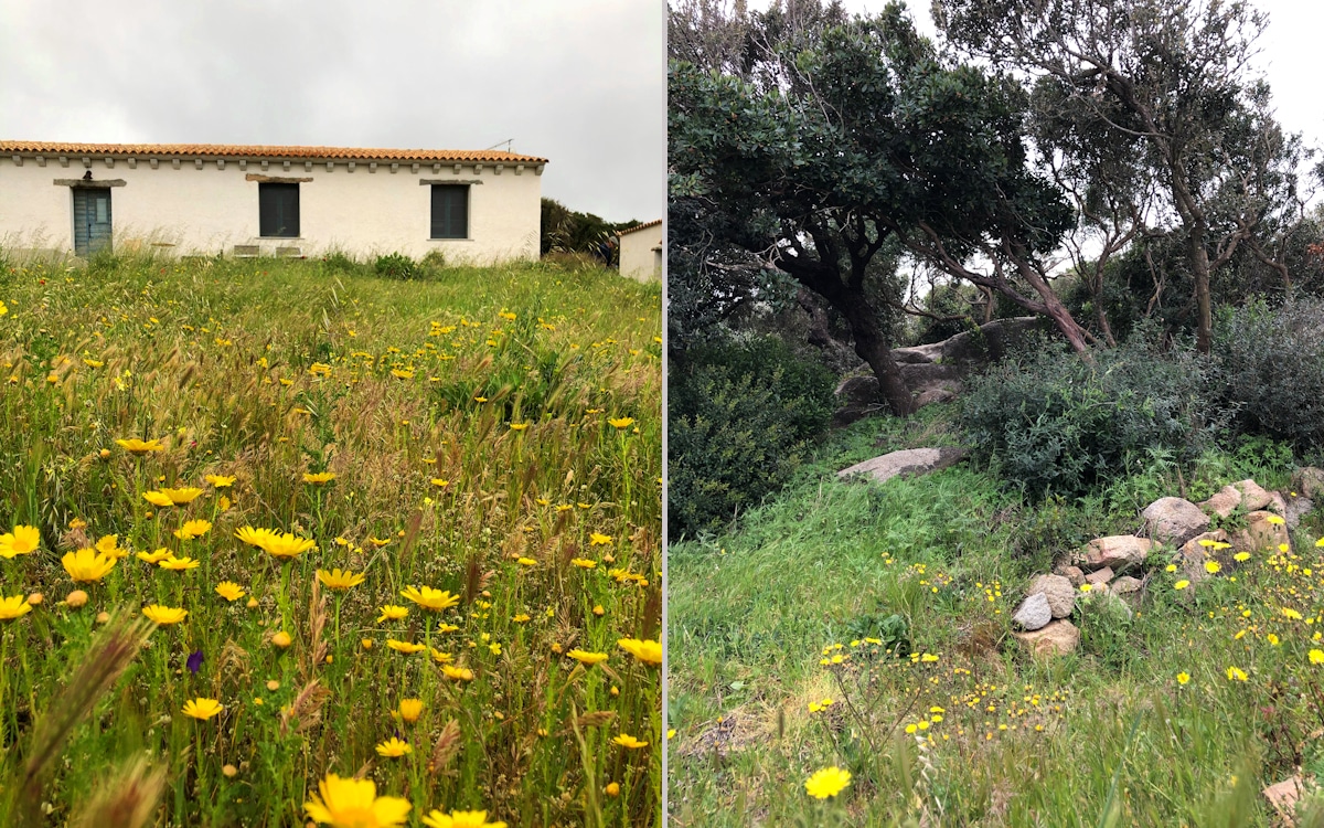 Ferienhaus Santa Teresa (22)