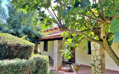Villa Alghero 3, Garten (2)